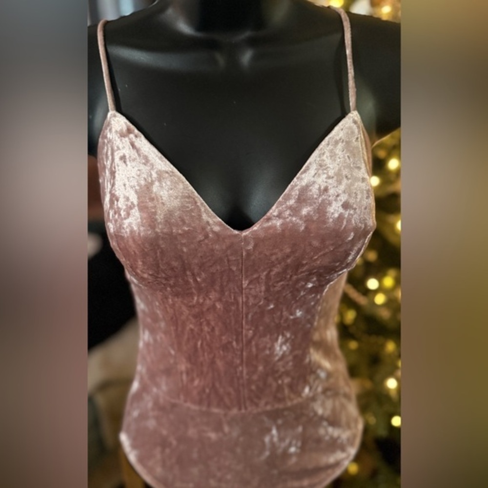 Forever 21 Blush Velvet bodysuit
